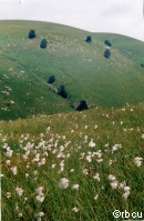 ���� �.�. ������.
���������� ������ ������� �������� �������� � ������������� �����.